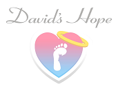Davids hope comp logo